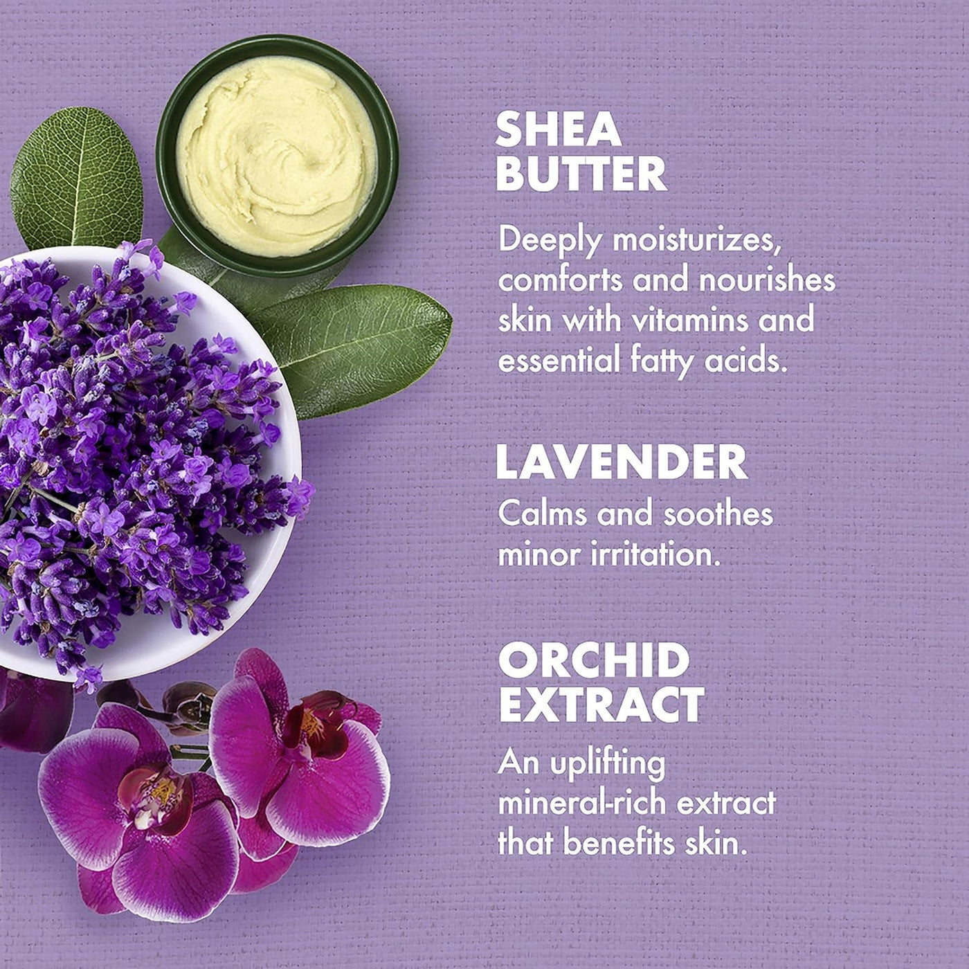 Lavender & Wild Orchid Bath, Body, and Massage Oil