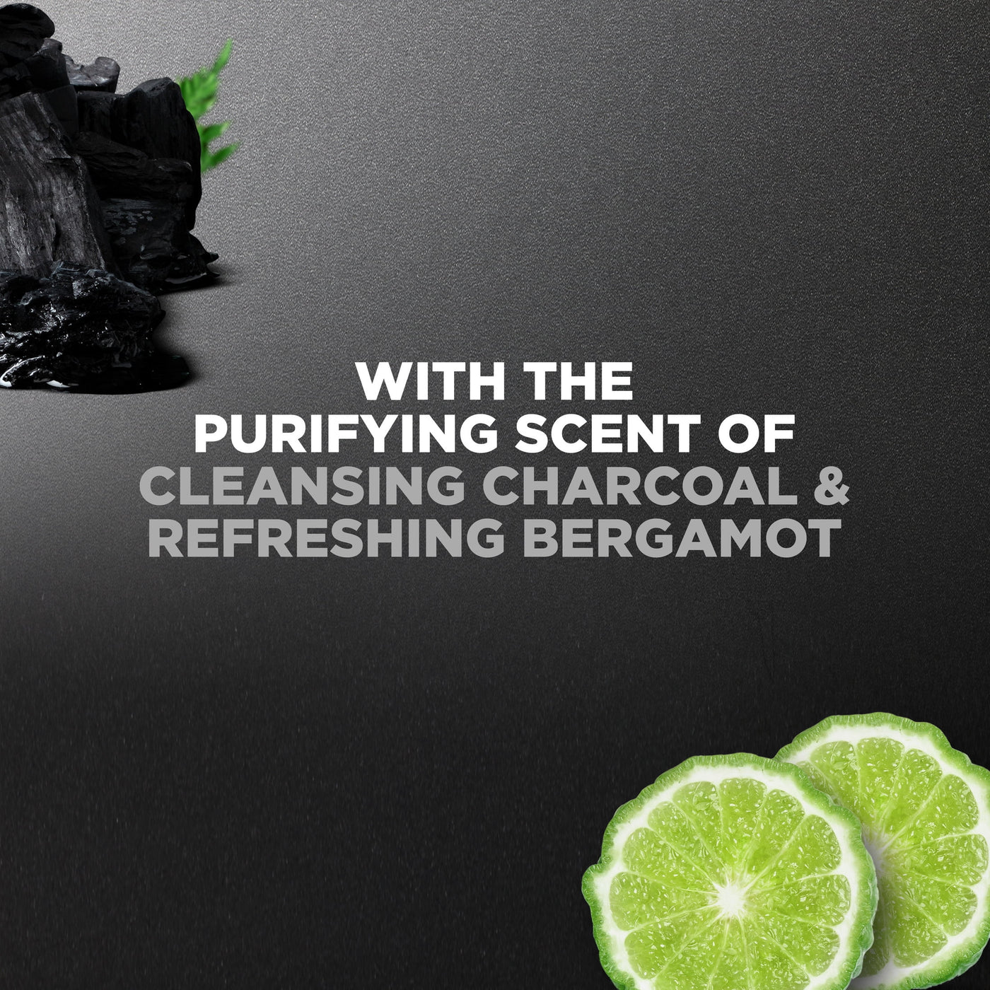 Purifying Hydrating Face & Body Wash for Men Charcoal & Clay, 30 Oz